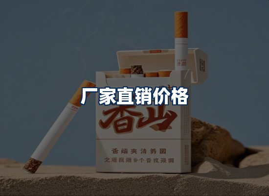专业团队办公环境